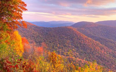 The Power of Thankfulness